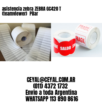 asistencia zebra ZEBRA GC420 T (teamviewer)  Pilar
