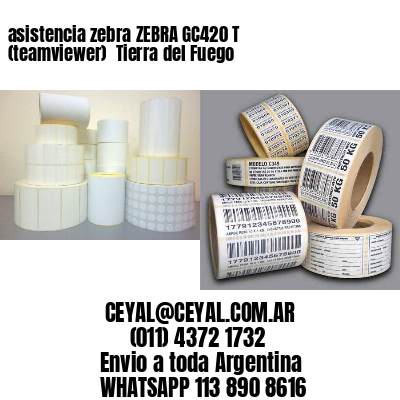 asistencia zebra ZEBRA GC420 T (teamviewer)  Tierra del Fuego