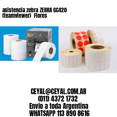asistencia zebra ZEBRA GC420 (teamviewer)  Flores