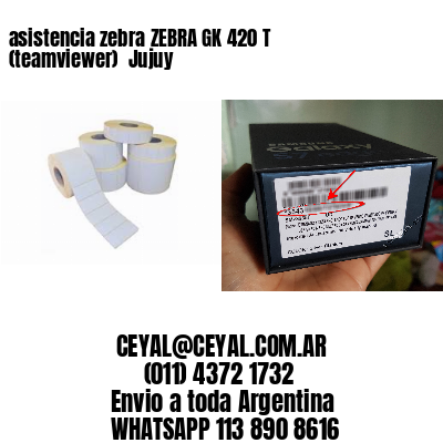asistencia zebra ZEBRA GK 420 T (teamviewer)  Jujuy