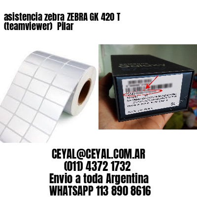asistencia zebra ZEBRA GK 420 T (teamviewer)  Pilar