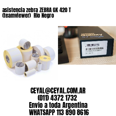asistencia zebra ZEBRA GK 420 T (teamviewer)  Rio Negro