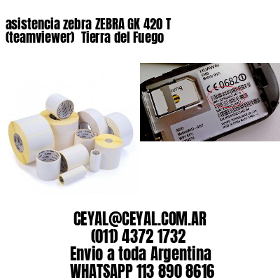 asistencia zebra ZEBRA GK 420 T (teamviewer)  Tierra del Fuego