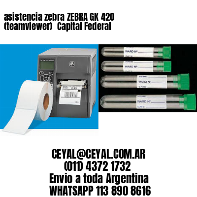asistencia zebra ZEBRA GK 420 (teamviewer)  Capital Federal