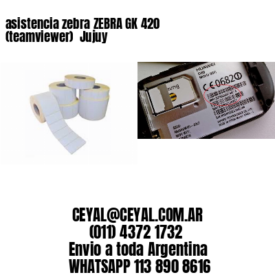 asistencia zebra ZEBRA GK 420 (teamviewer)  Jujuy