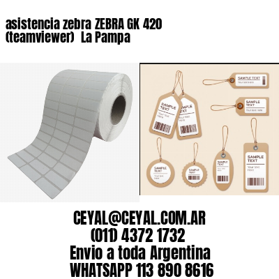 asistencia zebra ZEBRA GK 420 (teamviewer)  La Pampa