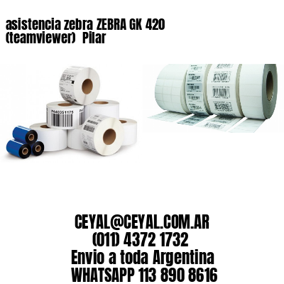 asistencia zebra ZEBRA GK 420 (teamviewer)  Pilar