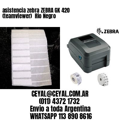 asistencia zebra ZEBRA GK 420 (teamviewer)  Rio Negro