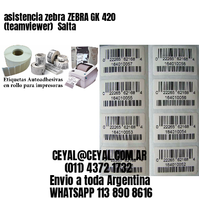asistencia zebra ZEBRA GK 420 (teamviewer)  Salta