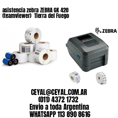 asistencia zebra ZEBRA GK 420 (teamviewer)  Tierra del Fuego