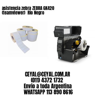 asistencia zebra ZEBRA GK420 (teamviewer)  Rio Negro