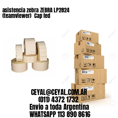 asistencia zebra ZEBRA LP2824 (teamviewer)  Cap fed