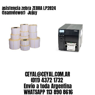 asistencia zebra ZEBRA LP2824 (teamviewer)  Jujuy