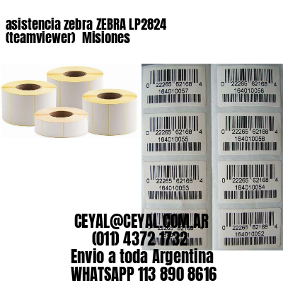 asistencia zebra ZEBRA LP2824 (teamviewer)  Misiones