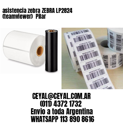 asistencia zebra ZEBRA LP2824 (teamviewer)  Pilar
