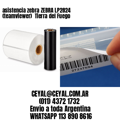 asistencia zebra ZEBRA LP2824 (teamviewer)  Tierra del Fuego
