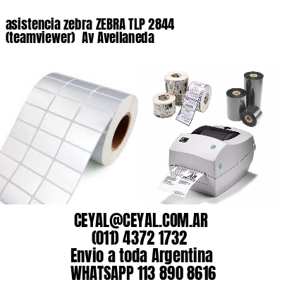 asistencia zebra ZEBRA TLP 2844 (teamviewer)  Av Avellaneda