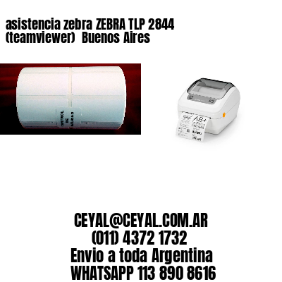 asistencia zebra ZEBRA TLP 2844 (teamviewer)  Buenos Aires