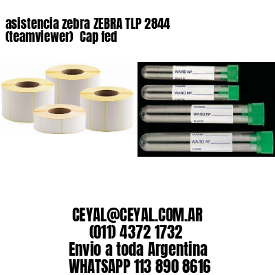 asistencia zebra ZEBRA TLP 2844 (teamviewer)  Cap fed