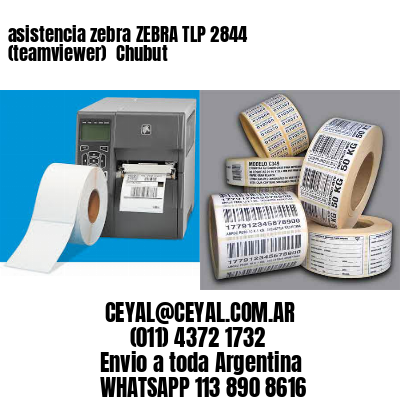 asistencia zebra ZEBRA TLP 2844 (teamviewer)  Chubut