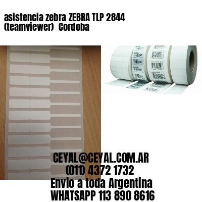 asistencia zebra ZEBRA TLP 2844 (teamviewer)  Cordoba