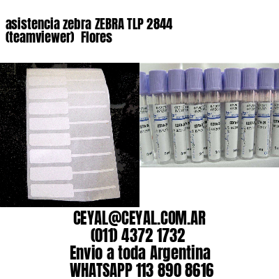 asistencia zebra ZEBRA TLP 2844 (teamviewer)  Flores