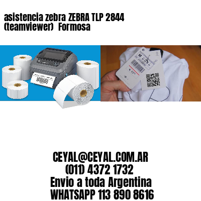 asistencia zebra ZEBRA TLP 2844 (teamviewer)  Formosa