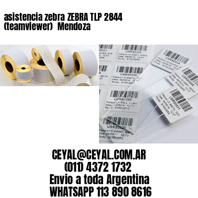 asistencia zebra ZEBRA TLP 2844 (teamviewer)  Mendoza