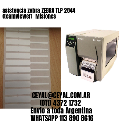 asistencia zebra ZEBRA TLP 2844 (teamviewer)  Misiones