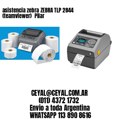 asistencia zebra ZEBRA TLP 2844 (teamviewer)  Pilar