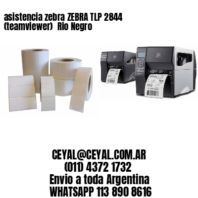 asistencia zebra ZEBRA TLP 2844 (teamviewer)  Rio Negro