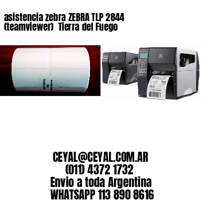 asistencia zebra ZEBRA TLP 2844 (teamviewer)  Tierra del Fuego