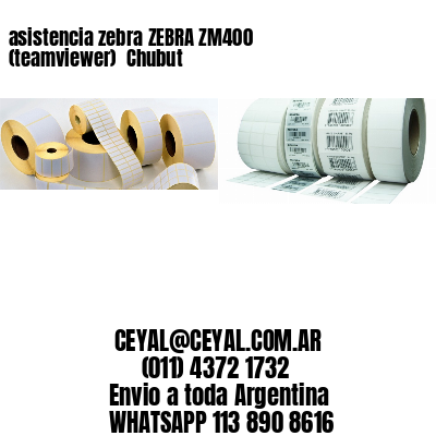asistencia zebra ZEBRA ZM400 (teamviewer)  Chubut