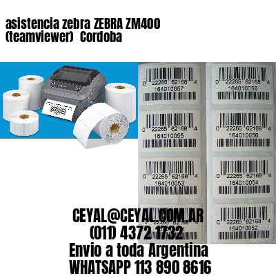 asistencia zebra ZEBRA ZM400 (teamviewer)  Cordoba