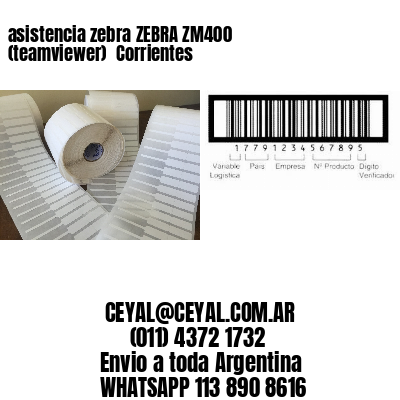 asistencia zebra ZEBRA ZM400 (teamviewer)  Corrientes