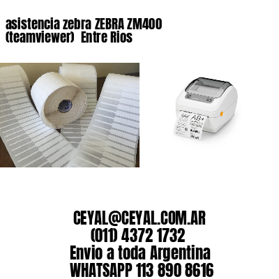asistencia zebra ZEBRA ZM400 (teamviewer)  Entre Rios