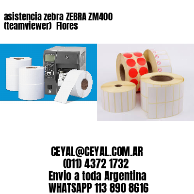 asistencia zebra ZEBRA ZM400 (teamviewer)  Flores