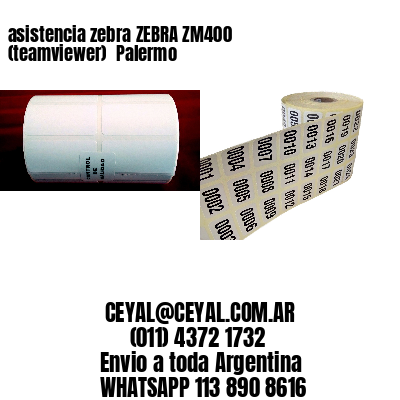 asistencia zebra ZEBRA ZM400 (teamviewer)  Palermo