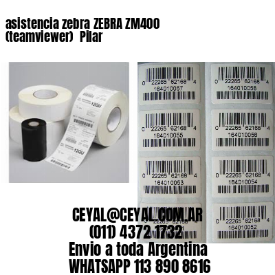 asistencia zebra ZEBRA ZM400 (teamviewer)  Pilar
