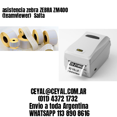 asistencia zebra ZEBRA ZM400 (teamviewer)  Salta