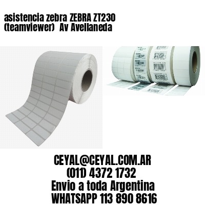 asistencia zebra ZEBRA ZT230 (teamviewer)  Av Avellaneda