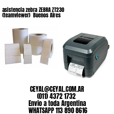 asistencia zebra ZEBRA ZT230 (teamviewer)  Buenos Aires