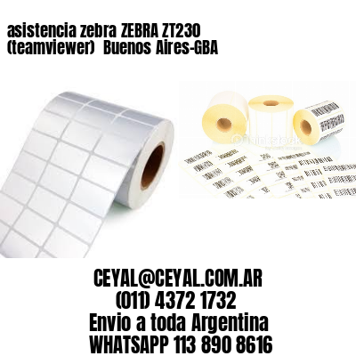 asistencia zebra ZEBRA ZT230 (teamviewer)  Buenos Aires-GBA