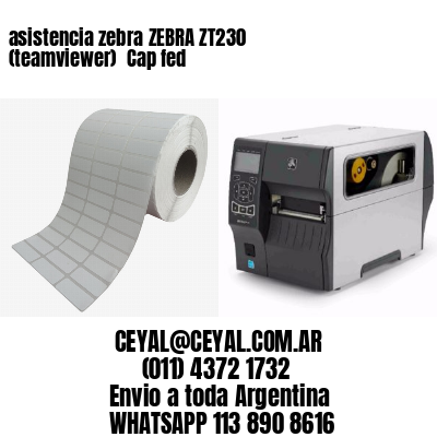 asistencia zebra ZEBRA ZT230 (teamviewer)  Cap fed