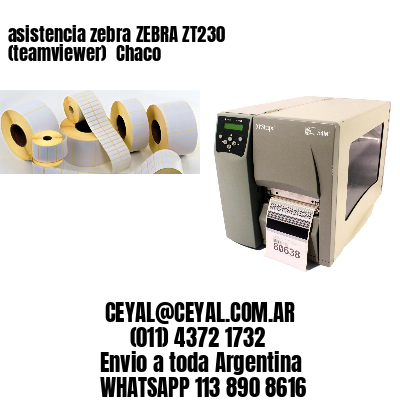 asistencia zebra ZEBRA ZT230 (teamviewer)  Chaco