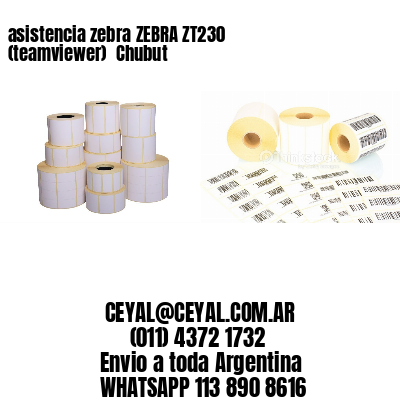 asistencia zebra ZEBRA ZT230 (teamviewer)  Chubut