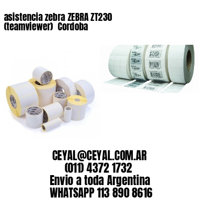 asistencia zebra ZEBRA ZT230 (teamviewer)  Cordoba