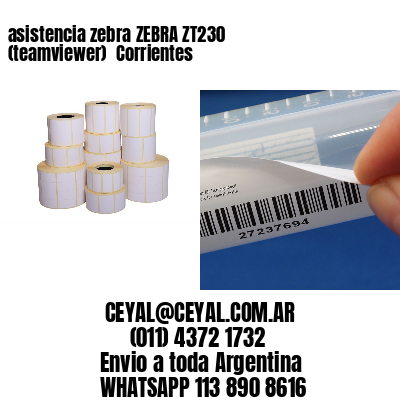 asistencia zebra ZEBRA ZT230 (teamviewer)  Corrientes