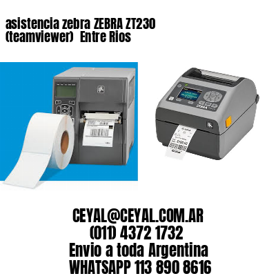 asistencia zebra ZEBRA ZT230 (teamviewer)  Entre Rios