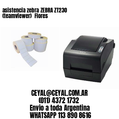 asistencia zebra ZEBRA ZT230 (teamviewer)  Flores